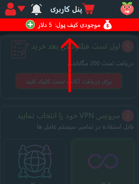 مشکلات پرداخت در هلوگیت